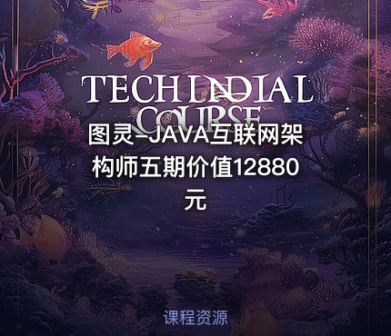 图灵-JAVA互联网架构师五期价值12880元