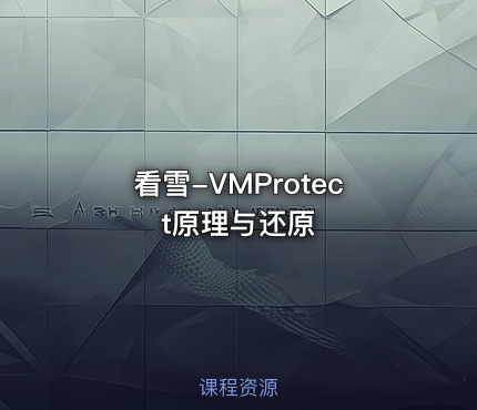 看雪-VMProtect原理与还原