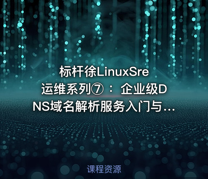 标杆徐LinuxSre运维系列⑦ ：企业级DNS域名解析服务入门与实践（10讲）