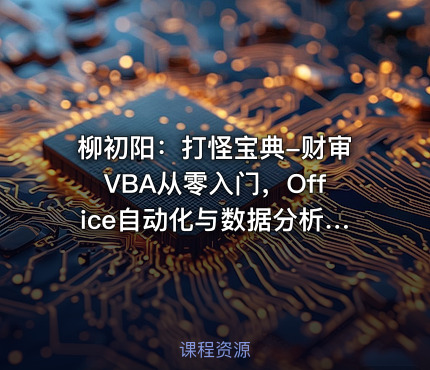 柳初阳：打怪宝典-财审VBA从零入门，Office自动化与数据分析实战课程
