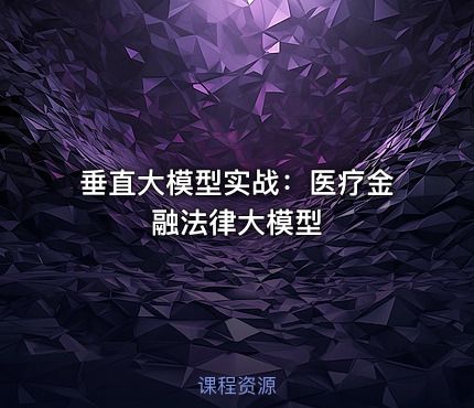 垂直大模型实战：医疗金融法律大模型
