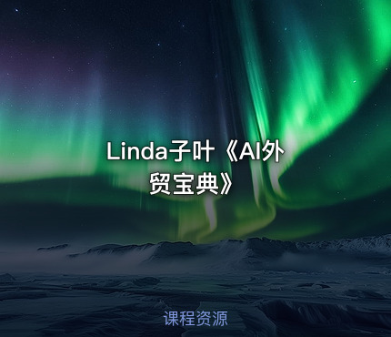 Linda子叶《AI外贸宝典》