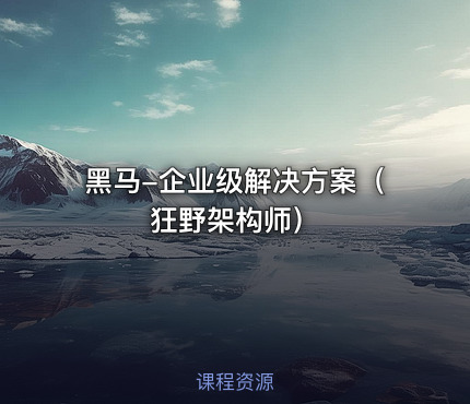 黑马-企业级解决方案（狂野架构师）