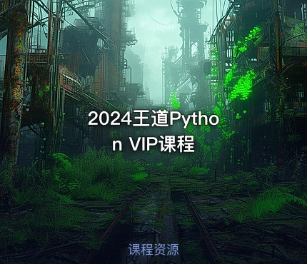 2024王道Python VIP课程