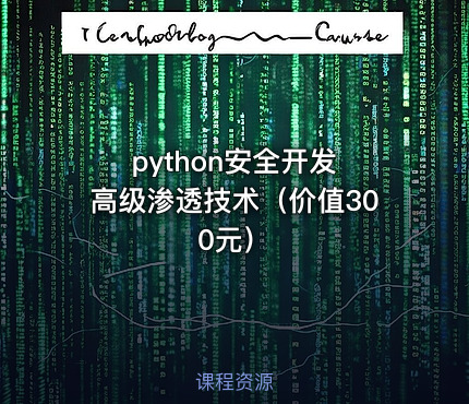 python安全开发 高级渗透技术（）