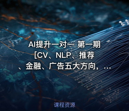 AI提升一对一 第一期 [CV、NLP、推荐、金融、广告五大方向，极速提升]