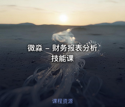 微淼 - 财务报表分析技能课