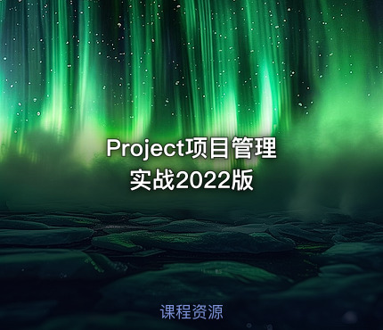 Project项目管理实战2022版