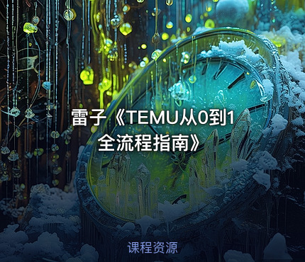 雷子《TEMU从0到1全流程指南》