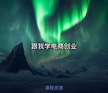 跟我学电商创业