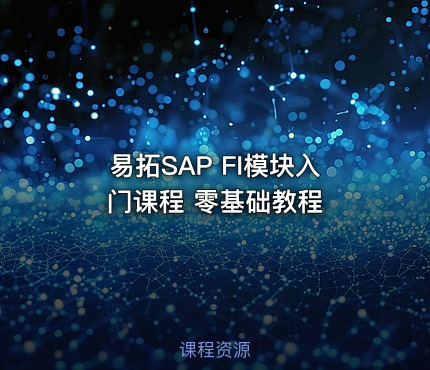 易拓SAP FI模块入门课程 零基础教程