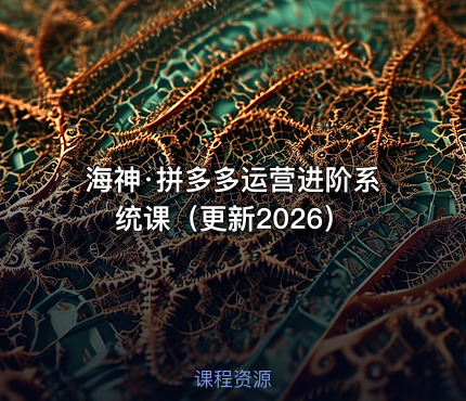 海神·拼多多运营进阶系统课（更新2026）