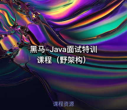 黑马-Java面试特训课程（野架构）