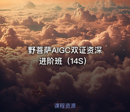 野菩萨AIGC双证资深进阶班（14S）