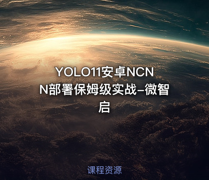 YOLO11安卓NCNN部署保姆级实战-微智启