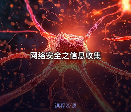 网络安全之信息收集