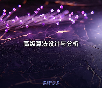 高级算法设计与分析