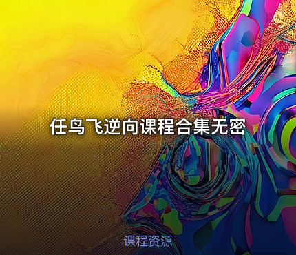 任鸟飞逆向课程合集无密