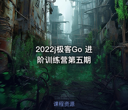 2022j极客Go 进阶训练营第五期