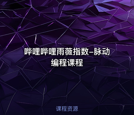哔哩哔哩雨薇指数-脉动编程课程