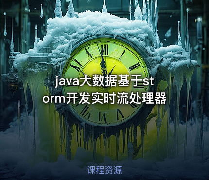java大数据基于storm开发实时流处理器