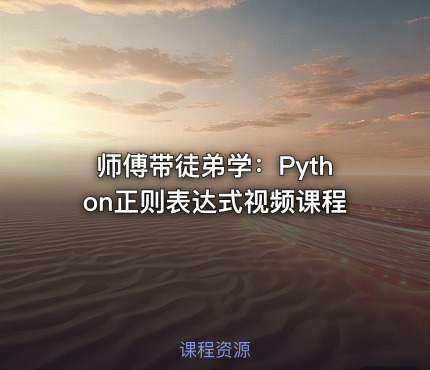 师傅带徒弟学：Python正则表达式视频课程