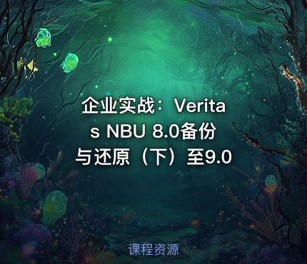企业实战：Veritas NBU 8.0备份与还原（下）至9.0