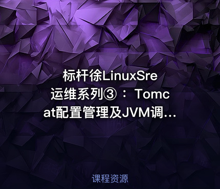 标杆徐LinuxSre运维系列③ ：Tomcat配置管理及JVM调优进阶实践（10讲）