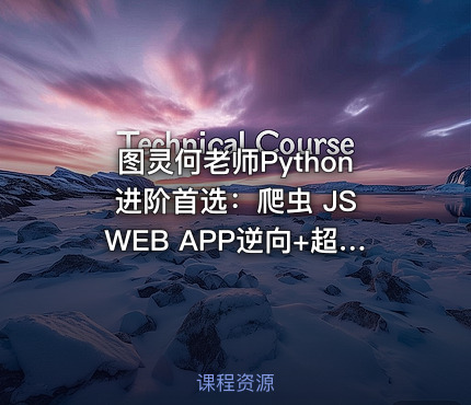 图灵何老师Python进阶首选：爬虫 JS WEB APP逆向+超强企业级案例合辑