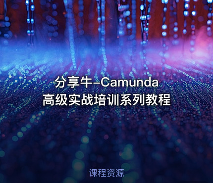 分享牛-Camunda高级实战培训系列教程