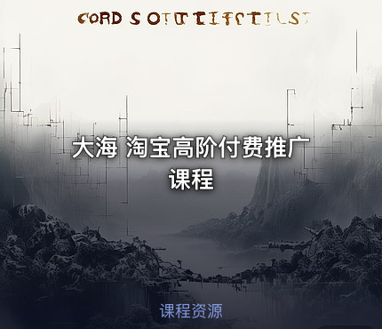 大海 淘宝高阶付费推广课程