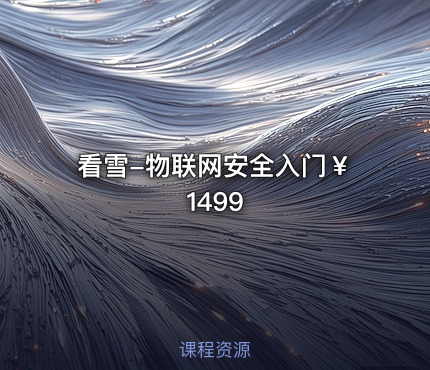 看雪-物联网安全入门￥1499