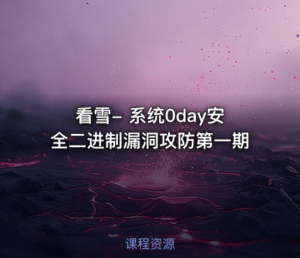 看雪- 系统0day安全二进制漏洞攻防第一期