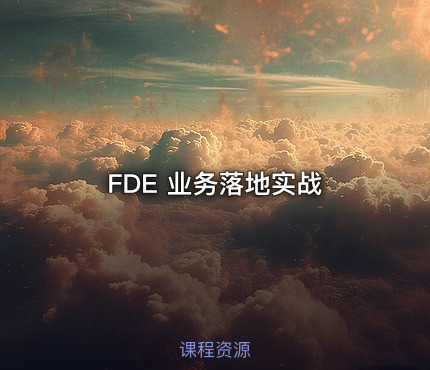 FDE 业务落地实战