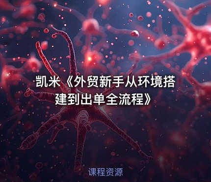 凯米《外贸新手从环境搭建到出单全流程》