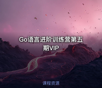Go语言进阶训练营第五期VIP