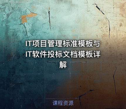 IT项目管理标准模板与IT软件投标文档模板详解