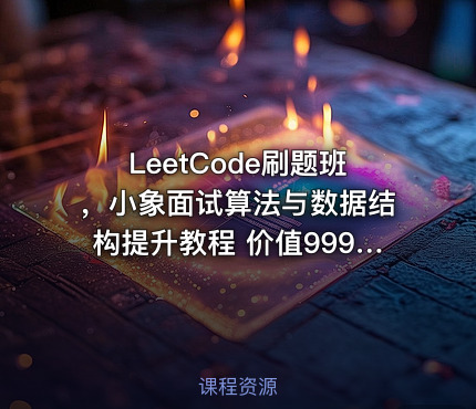 LeetCode刷题班，小象面试算法与数据结构提升教程 价值999元