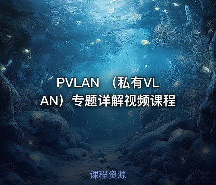 PVLAN （私有VLAN）专题详解视频课程