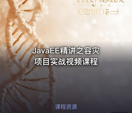 JavaEE精讲之容灾项目实战视频课程