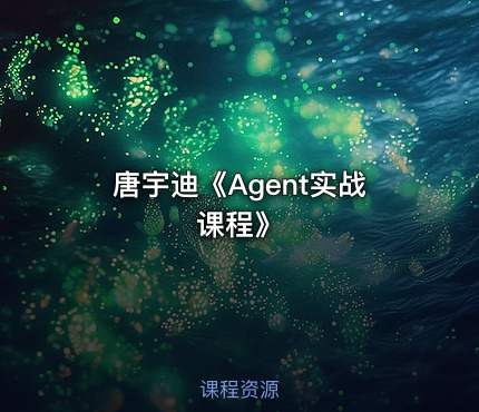 唐宇迪《Agent实战课程》