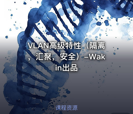 VLAN高级特性（隔离，汇聚，安全）-Wakin出品