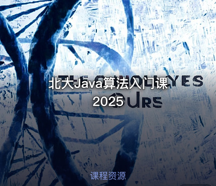 北大Java算法入门课2025