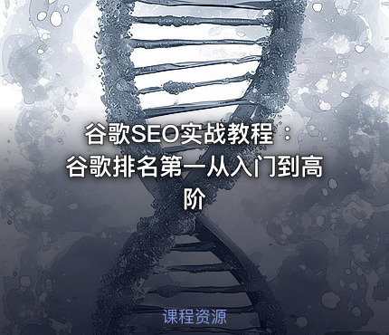 谷歌SEO实战教程 ：谷歌排名第一从入门到高阶
