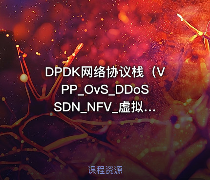 DPDK网络协议栈（VPP_OvS_DDoS SDN_NFV_虚拟化_高性能专家之路）