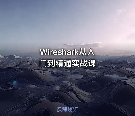 Wireshark从入门到精通实战课