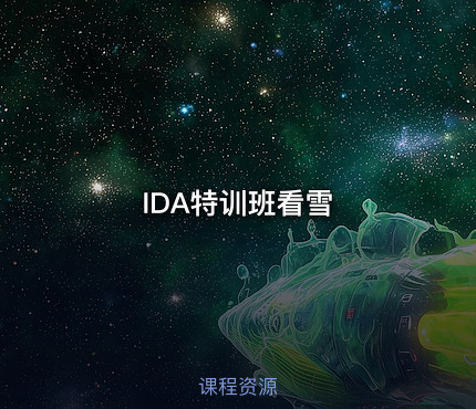 IDA特训班看雪