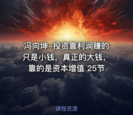 冯向坤-投资靠利润赚的只是小钱，真正的大钱，靠的是资本增值 25节