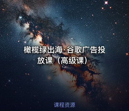 橄榄绿出海·谷歌广告投放课（高级课）