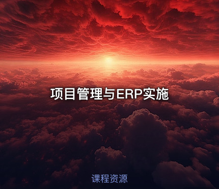 项目管理与ERP实施